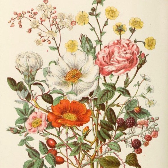 Meet me-Helene - Picture 6 of 16